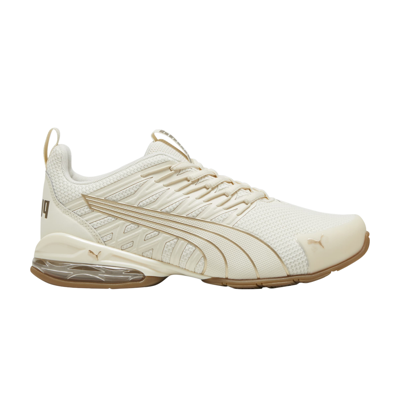 Pre-owned Puma Wmns Voltaic Evo 'sugared Almond Gold' In Cream