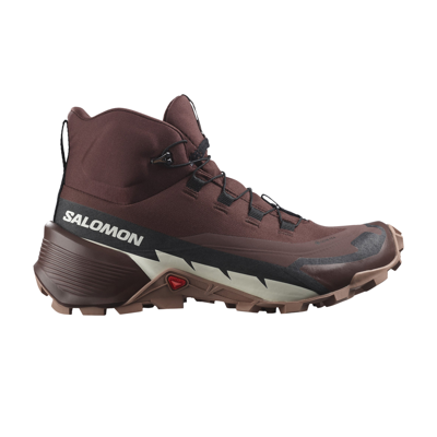 Pre-owned Salomon Wmns Cross Hike 2 Mid Gore-tex 'bitter Chocolate Mocha Mousse' In Brown