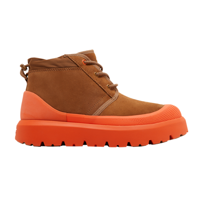 Pre-owned Ugg Neumel Weather Hybrid 'chestnut Orange' In Brown