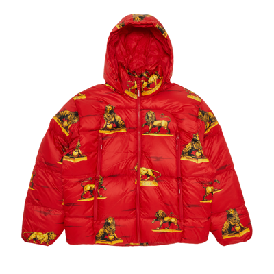 Pre-owned Supreme Featherweight Down Puffer Jacket 'lions' In Red