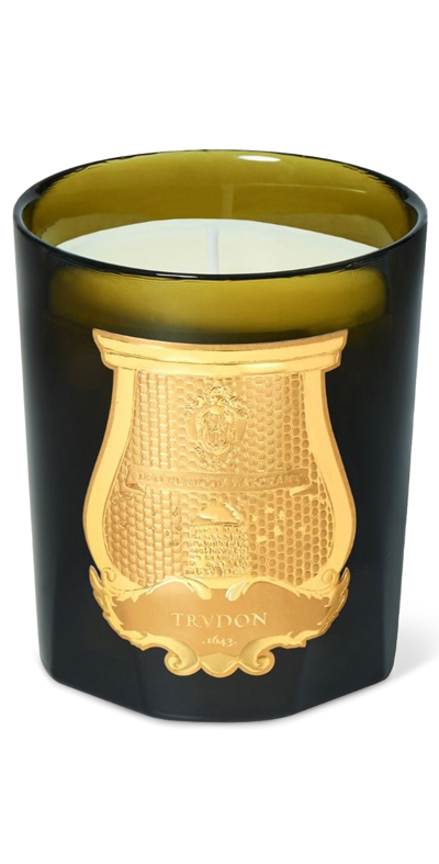 Trudon Ernesto Candle Leather And Tobacco