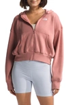 The North Face Evolution Full-zip Hoodie In Light Mahogany