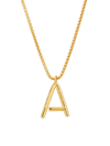 Roxanne Assoulin Women's Initial Reaction Goldtone & Enamel Pendant Necklace In A