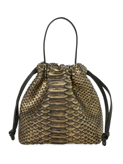 Adriana Castro Women's La Rossy Mini Clutch Bag In Python In Rustic Gold