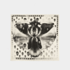 Alexander Mcqueen Skull Orchid Scarf In Beige