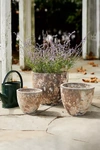Terrain Barnacle Rounded Egg Planter In Gold