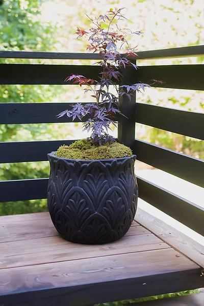 Terrain Paloma Ceramic Planter, 18" In Purple