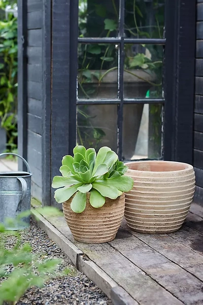 Terrain Antiqued Ring Ceramic Jar Planter, 15" In Neutral