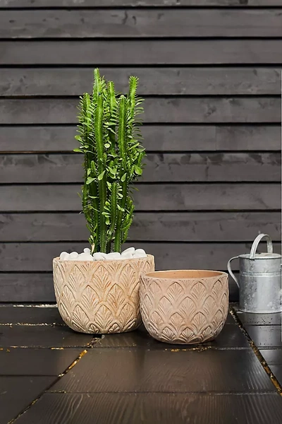 Terrain Paloma Ceramic Bowl Planter, 15" In Neutral