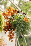Terrain Sphere Rust Patina Hanging Basket, 14"