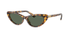 Polo Ralph Lauren Ph4199u Shiny Havana Sunglasses In Dark Green