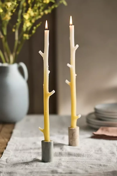 Terrain Ombre Maple Stick Candles, Set Of 2 In Yellow