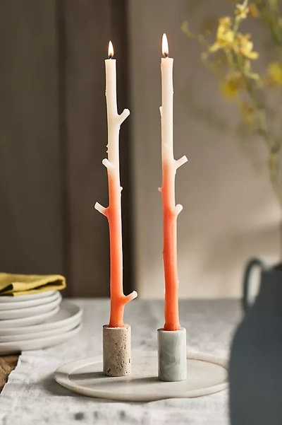 Terrain Ombre Maple Stick Candles, Set Of 2 In Orange