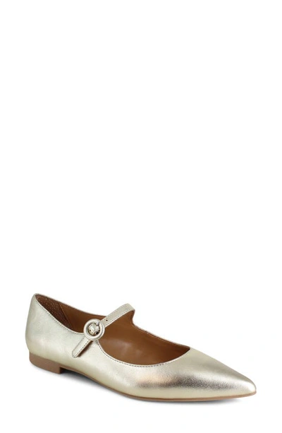 Splendid Mariana Pointed Toe Mary Jane Flat In Platino