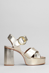 SEE BY CHLOÉ LYNA SANDALS IN PLATINUM LEATHER