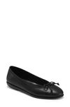 Aerosoles Homebet Bow Flat In Black