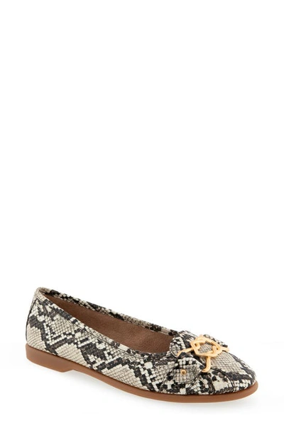 Aerosoles Bia Casual-flat In Natural Printed Snake - Faux Leather