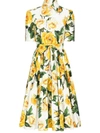 Dolce & Gabbana Cotton Shirt Dress With Yellow Rose Print In Multicolour