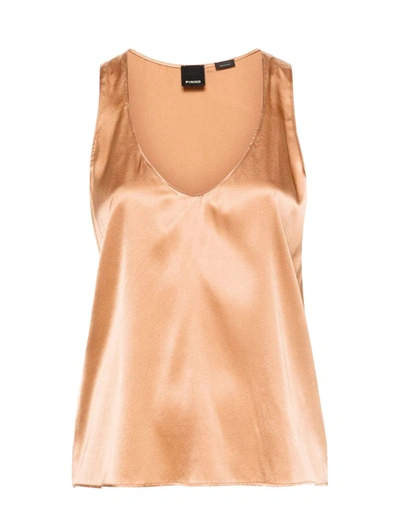 Pinko Top Brown In Silver