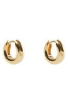 Argento Vivo Small Chubby Huggie Hoop Earrings In Gold