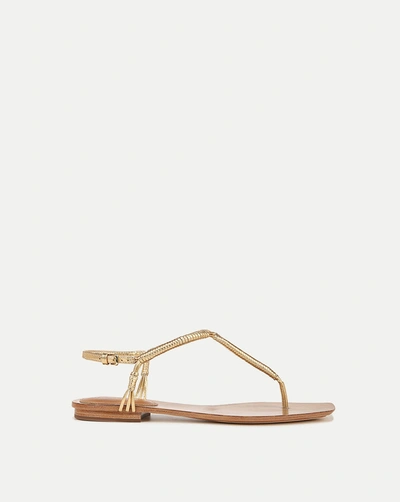 Veronica Beard Amelia T-strap Metallic Sandal In Gold