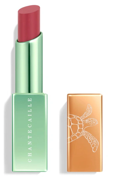 CHANTECAILLE SEA TURTLE LIP CHIC LIP COLOR