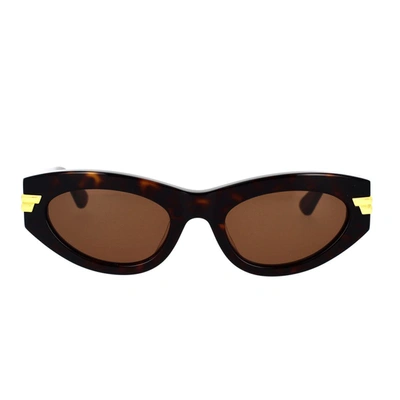 Bottega Veneta Bv1189s Havana Sunglasses