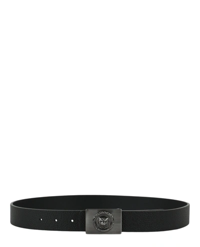 Just Cavalli Tiger Plaque Logo Belt In Black