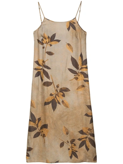 Uma Wang Anaya Leaf-print Midi Dress In Uw026 Tan/brown