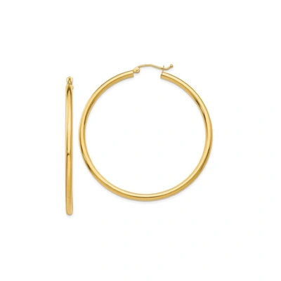 Liv Oliver 18k Gold Hoop Earrings