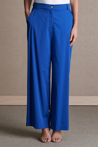 Iris Setlakwe Relaxed Wide Leg Pant In Sapphire In Blue