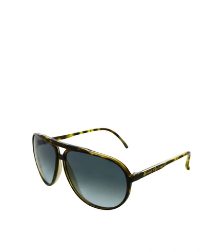 Remo Tulliani Smooth Sunglasses In Polished Tortoise/ash Lens In Multi