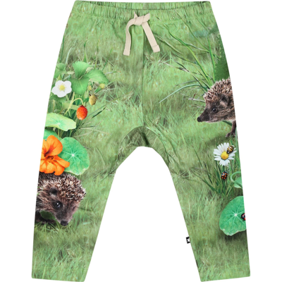 Molo Green Sports Trousers For Baby Kids In Multicolor