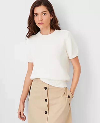 Ann Taylor Petite At Weekend Chunky Wedge Sweater Tee In Winter White