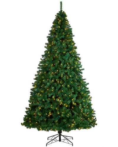 Nearly Natural 6ft. Pre-lit Artificial Edmonton Fir Light Show Me In Green