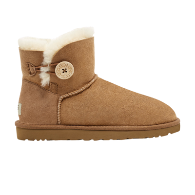 Pre-owned Ugg Wmns Mini Bailey Button 2 Boot 'chestnut' In Brown