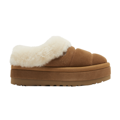 Pre-owned Ugg Wmns Tazzlita Slipper 'chestnut' In Brown