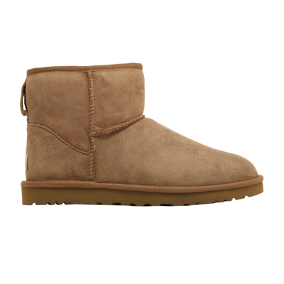 Pre-owned Ugg Classic Mini Boot 'chestnut' In Brown
