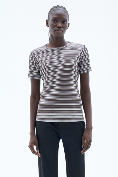 Filippa K Striped Tee In Brown