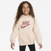 Nike "home Swoosh Home" Pullover Little Kids Hoodie In Brown