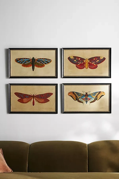 Wendover Art Group Crackled Moth Wall Art In Multi