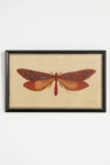 Wendover Art Group Crackled Moth Wall Art In Multi