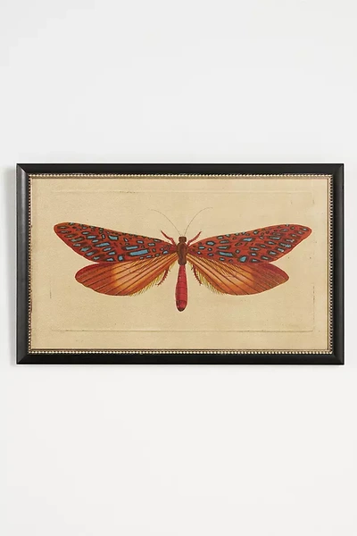 Wendover Art Group Crackled Moth Wall Art In Multi
