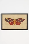 Wendover Art Group Crackled Moth Wall Art In Multi