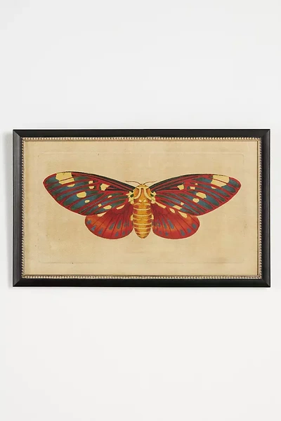 Wendover Art Group Crackled Moth Wall Art In Multi
