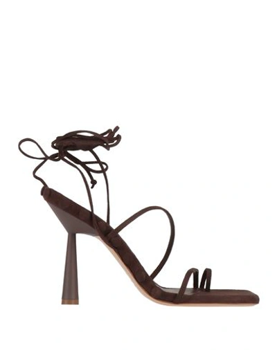 Gia Rhw Gia / Rhw Woman Thong Sandal Dark Brown Size 7.5 Leather