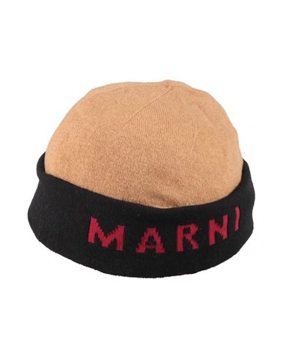 Marni Woman Hat Camel Size M Virgin Wool, Polyamide In Beige