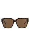 Balenciaga 56mm Square Sunglasses In Havana Havana Brown