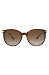 Gucci 56mm Cat Eye Sunglasses In Havana Gold Red