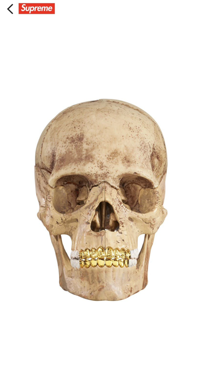 Pre-owned Supreme X Vintage Supreme 4d Model Human Skull In White